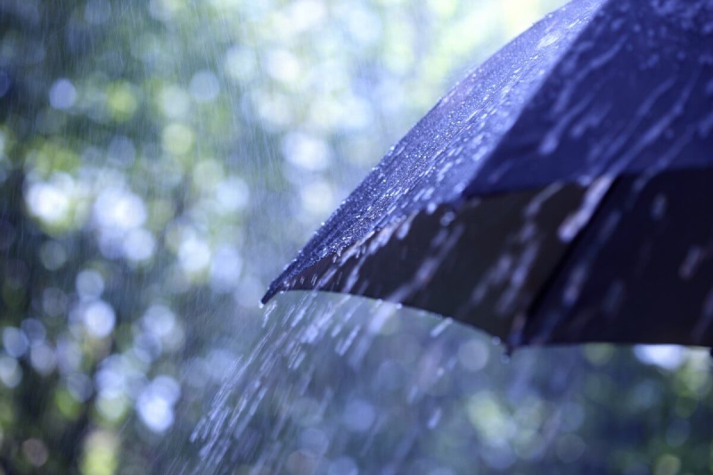 Aurelia Weems’s Case for Umbrella Insurance